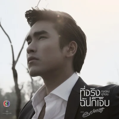 ที่จริงฉันก็เจ็บ (เพลงประกอบละคร ลมซ่อนรัก [Acoustic]) 专辑 Nadech Kugimiya