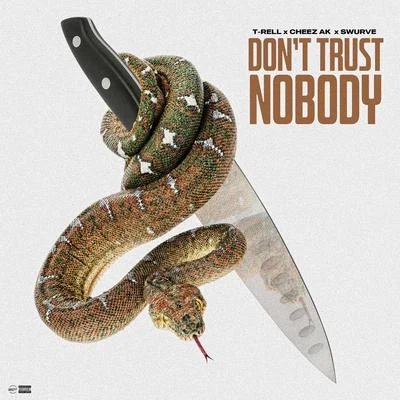 Nobody 专辑 Art Gunz/T-Rell/Ant Bomb