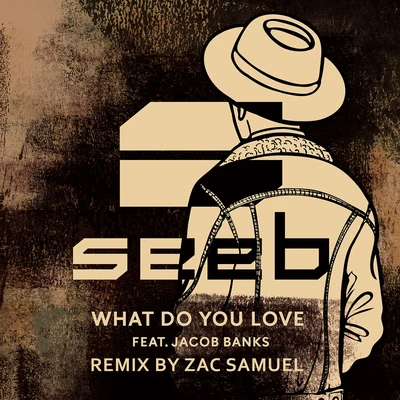 What Do You Love (Zac Samuel Remix) 專輯 Seeb