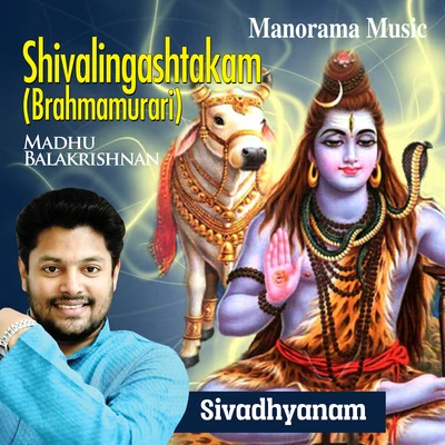 Shivalingashtakam (From "Sivadhyanam") 專輯 Sudeep Kumar/Madhu Balakrishnan