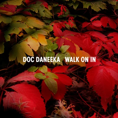 Walk On In 专辑 Doc Daneeka