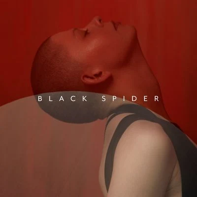 Black Spider 專輯 Kovacs