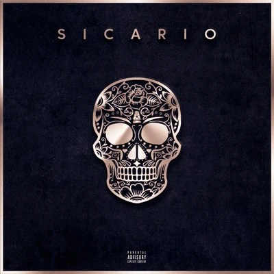 Sicario 专辑 Sleiman