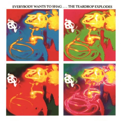 Everybody Wants To Shag... The Teardrop Explodes 专辑 The Teardrop Explodes