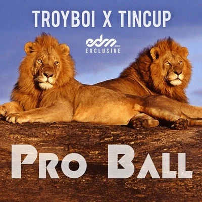 Pro Ball 專輯 TroyBoi/Destructo