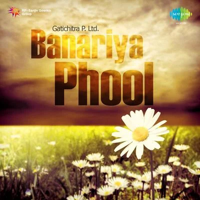 Banariya Phool 专辑 Nirmala Mishra