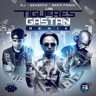 Los Tigueres Que Gastan (Remix) 專輯 Sensato