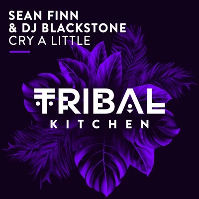 Cry a Little (Radio Edit) 專輯 DJ Blackstone