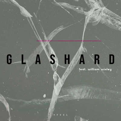 Glashard (feat. William Wixley) 專輯 Chesron Sminia/Adem Project/Abigail Martina/William Wixley/Montell Jordan