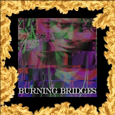 Burning Bridges 專輯 The Twins