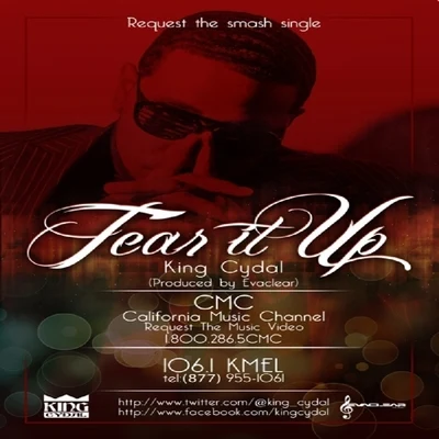 Tear It Up 专辑 RADO/King Cydal/Young Chop/Dj Habanero/Bandgang Lonnie