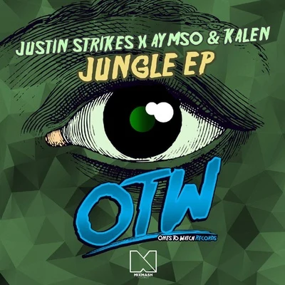 Jungle 专辑 Tim van Werd/Justin Strikes