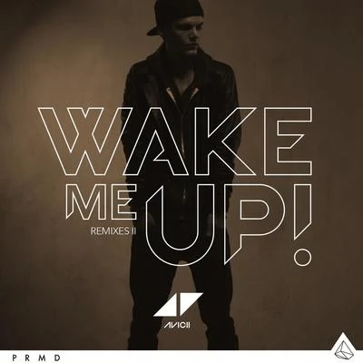 Wake Me Up (Remixes II) 專輯 Avicii