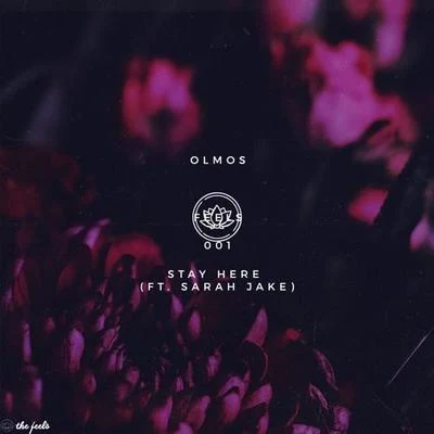 Stay Here 專輯 Olmos