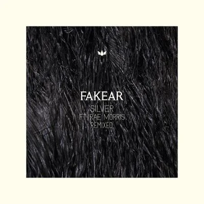 Fakear Silver (Remixed)