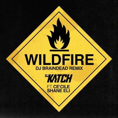 Wildfire (Dj Braindead Remix) 專輯 DJ Katch/DJ Kool/Greg Nice