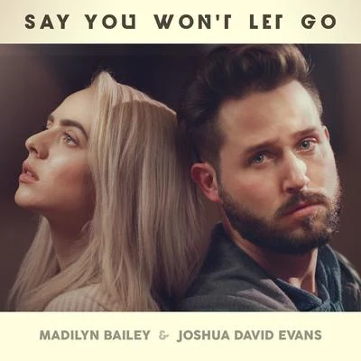 Madilyn Bailey Say You Wont Let Go