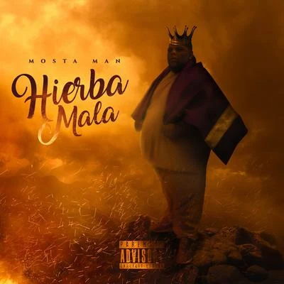 Hierba Mala 专辑 El Tachi/Robinho/Mosta Man