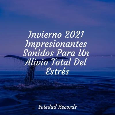 Invierno 2021 Impresionantes Sonidos Para Un Alivio Total Del Estrés 专辑 Piano para Dormir/Sonidos de la Naturaleza Relajacion/Música relaxante