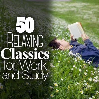 50 Relaxing Classics for Work and Study 专辑 Alphons Czibulka/Mishel Piastro/Symphony Of The Air