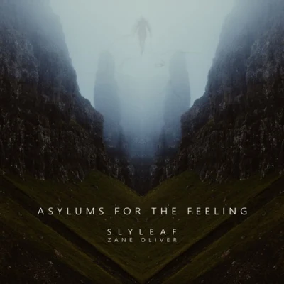 Asylums for the Feeling 專輯 Slyleaf/Quintino & Blasterjaxx/WYDNR