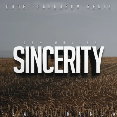 Code: PandorumFacesplit Sincerity (Code: Pandorum Remix)