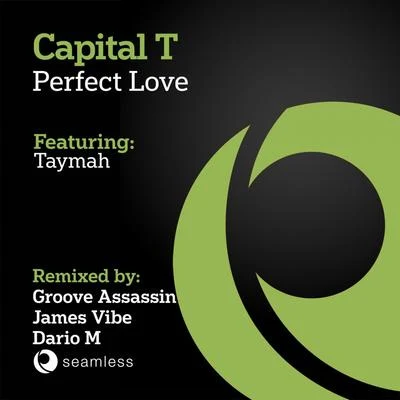 Perfect Love 专辑 Capital T/Mixey