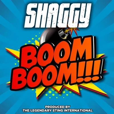 Boom Boom 專輯 Shaggy