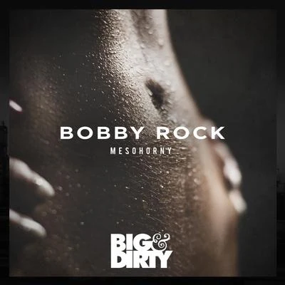 Bobby Rock MeSoHorny