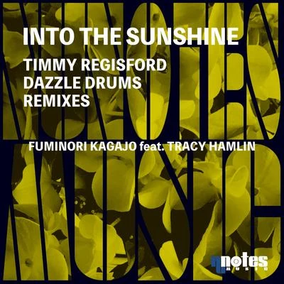 Into The Sunshine (Timmy Regisford & Dazzle Drums Remixes) 专辑 Fuminori Kagajo