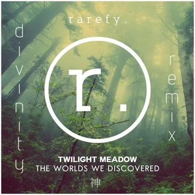 The Worlds We Discovered (Divinity Remix) 专辑 Divinity