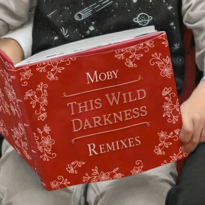 Moby This Wild Darkness (Remixes)