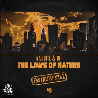 The Laws of Nature Instrumentals 專輯 BP/Rival Consoles/Kiasmos/Flash Atkins/Ambassadeurs