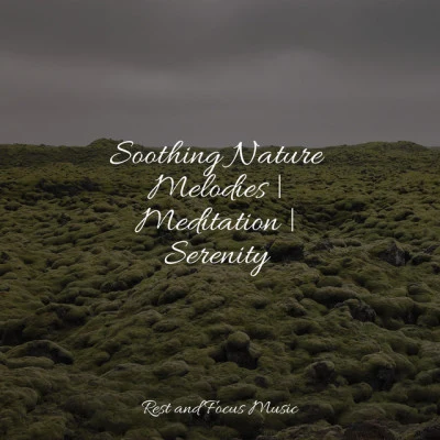 Soothing Nature Melodies | Meditation | Serenity 專輯 Academia de Música con Sonidos de la Naturaleza