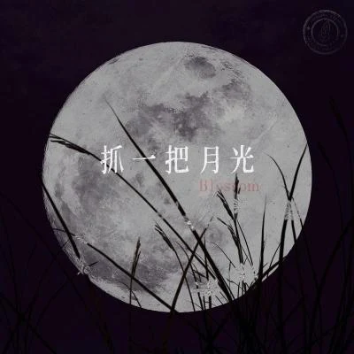 抓一把月光 (feat.周艺轩) (Blossom) 专辑 周艺轩