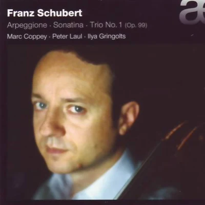 Franz Schubert：Arpeggione, Sonatina Trio No.1 Op.99 專輯 Ilya Gringolts