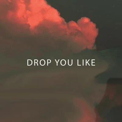 Drop You Like 專輯 Hyperion/Hinsist/Exxxo/DELAX/T.k.Attacker