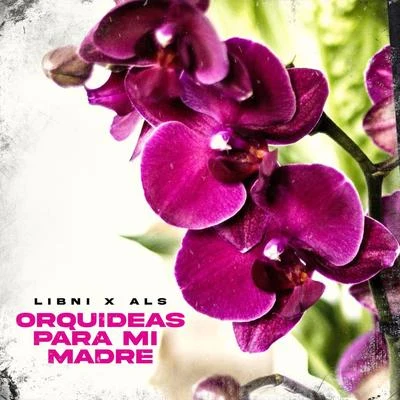 Orquídeas para Mi Madre 專輯 Dayami La Musa/ALS