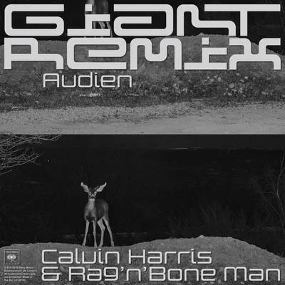 Giant (Audien Extended Remix) 專輯 RagNBone Man