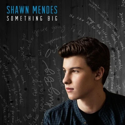 Something Big 專輯 Shawn Mendes