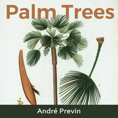 Palm Trees 專輯 André Previn/Wiener Sangerknaben/Arnold Schoenberg Chor/Wiener Philharmoniker/Erwin Ortner