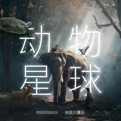 rosedoggy 动物星球