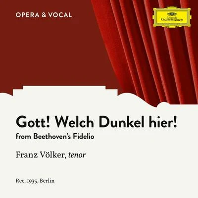 Beethoven: Fidelio, Op. 72: Gott, welch&#x27; Dunkel hier 专辑 Franz Volker