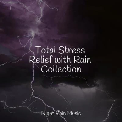 Total Stress Relief with Rain Collection 專輯 Deep Relaxation Meditation Academy