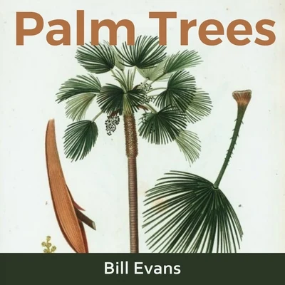 Palm Trees 專輯 Bill Evans