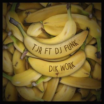 Dik Work 專輯 DJ Funk