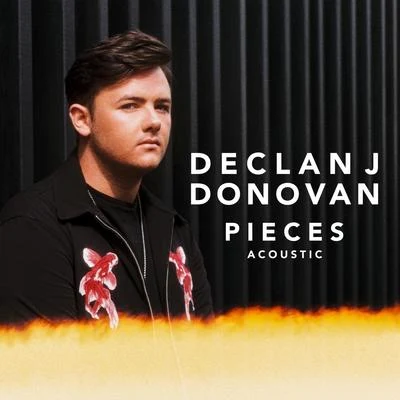 Declan J DonovanLost Frequencies Pieces (Acoustic)