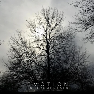 Emotion Instrumentals, Vol. 1 专辑 Evo Python/Armada the Producer