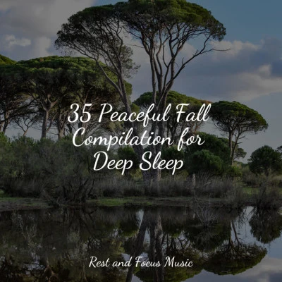 35 Peaceful Fall Compilation for Deep Sleep 專輯 Entspannungsmusik Meer