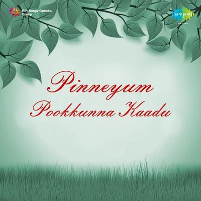 Pinneyum Pookkunna Kaadu (Original Motion Picture Soundtrack) 專輯 Shyam